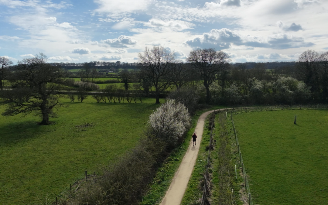 Calke Abbey